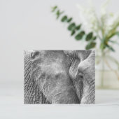 Het oog van een olifant briefkaart (Staand voorkant)