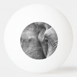 Het oog van een olifant pingpongballen