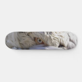 Het oog van een Pelicaan Skateboard (Horizontaal)