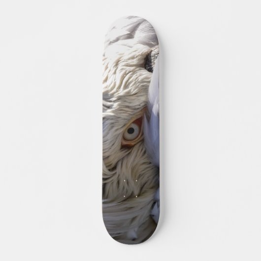 Het oog van een Pelicaan Skateboard (Voorkant)