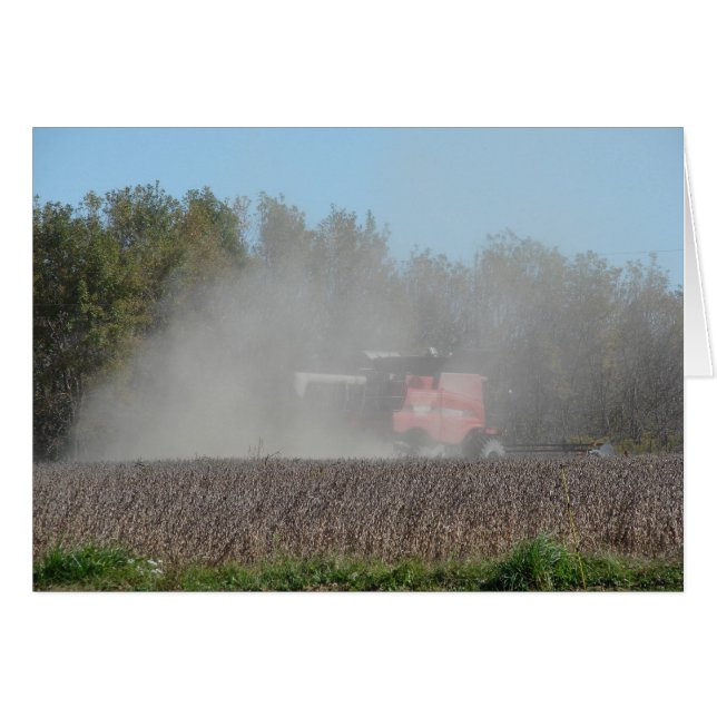 Het oogsten (Voorkant Horizontaal)