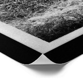 Het oogsten van aardappelen aan de Universiteit va Poster (Hoek)