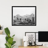 Het oogsten van aardappelen aan de Universiteit va Poster (Thuiskantoor)