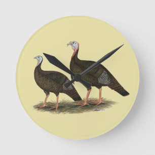 Het Oostelijke Wilde Paar van kalkoenen Ronde Klok