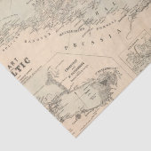 Het Oostzee-Zee Tissuepapier (Detail)