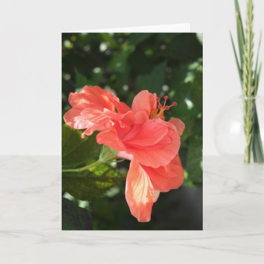 Het oranje Wenskaart van de Hibiscus Kaart (Voorkant)