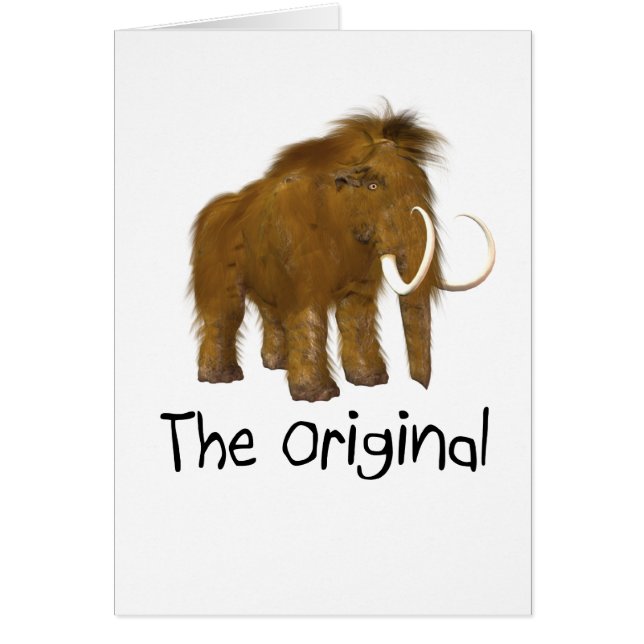 "Het origineel" (Voorkant)