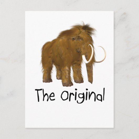 "Het origineel" Briefkaart (Voorkant)