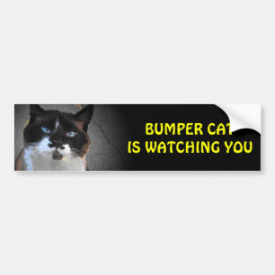 Het originele broodje Cat kijkt Bumpersticker