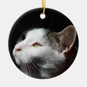 Het ornament van de Kat van de gestreepte kat