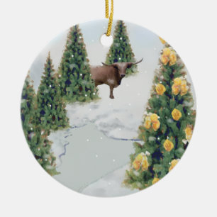 Het ornament van de Winter van Texas
