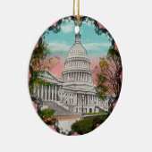 Het  Ornament van het Amerikaanse Capitool (Rechts)