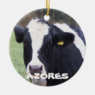 Het Ornament van Kerstmis van de Walvis van de Koe