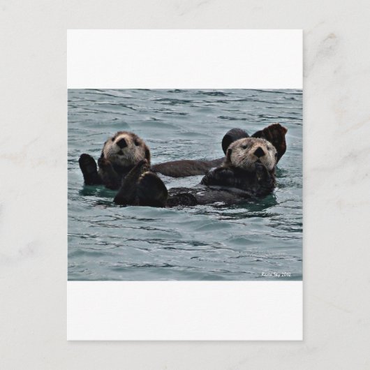 Het otter-paar briefkaart (Voorkant)