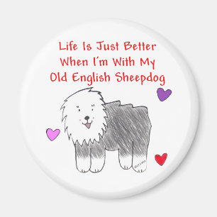 Het oude Engelse leven van Sheepdog is alleen maar Magneet
