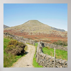 Het oude Man Coniston Briefkaart Cushion Poster