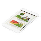 Het oude Man van Aosta, pagina van 'The Book of No Magneet (Linkerzijde)