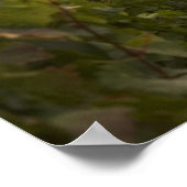 Het oude middeleeuwse Chateau de Rully in de Cote Poster (Hoek)