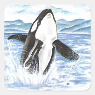 Het Overtreden van de waterverf de Walvis van de Vierkante Sticker