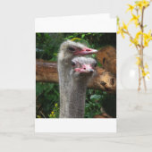 Het Paar van de struisvogel Kaart (Gele Bloem)