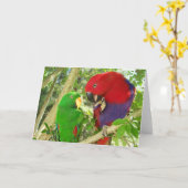 Het Paar van Eclectus Kaart (Gele Bloem)