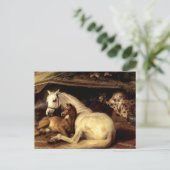 Het  paard briefkaart (Staand voorkant)