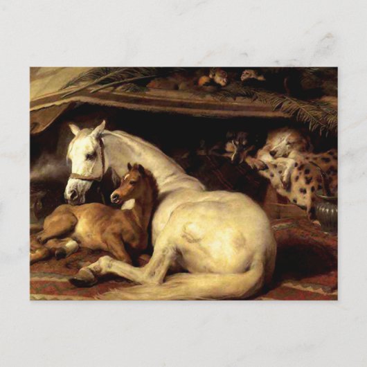 Het  paard briefkaart (Voorkant)