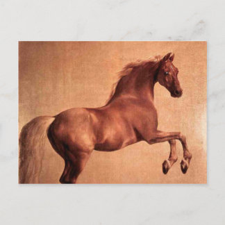 Het paard briefkaart