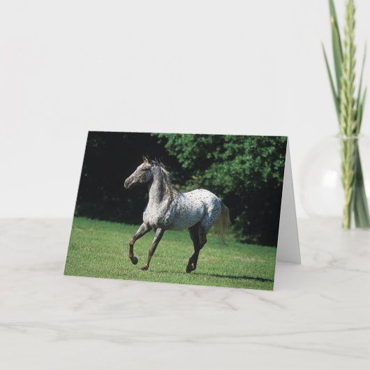 Het Paard die van Appaloosa 2 in werking stellen Kaart (Voorkant)