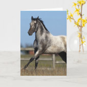 Het Paard die van Appaloosa 3 in werking stellen Kaart (Gele Bloem)