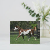 Het Paard die van de verf 1 in werking stellen Briefkaart (Staand voorkant)