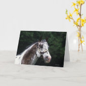 Het Paard Headshot 2 van Appaloosa Kaart (Gele Bloem)