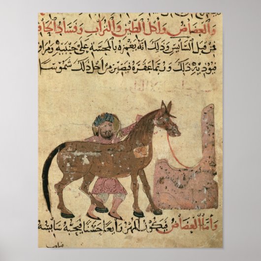 Het paard, illustratie poster (Voorkant)