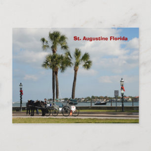 het paard in augustine florida briefkaart