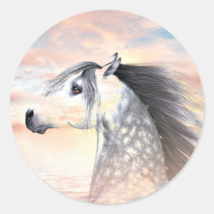 Het paard van Appaloosa Ronde Sticker