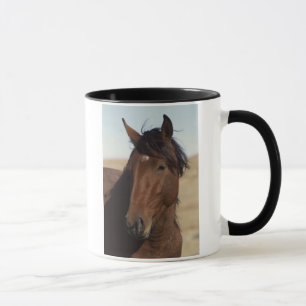 Het Paard van de baai in Wind Mok