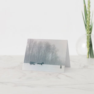 HET PAARD VAN HET MAN AMISH & PA DE MET FOUTEN VAN KAART