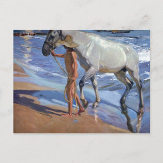 Het paard wassen briefkaart