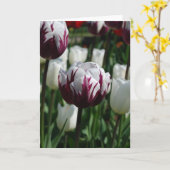 Het paarse & Witte Wenskaart van de Tulp Kaart (Gele Bloem)
