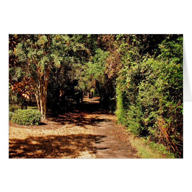 Het pad (Voorkant Horizontaal)