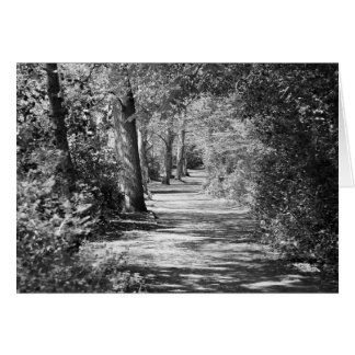 Het pad loopt erdoorheen