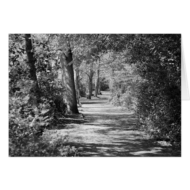 Het pad loopt erdoorheen (Voorkant Horizontaal)