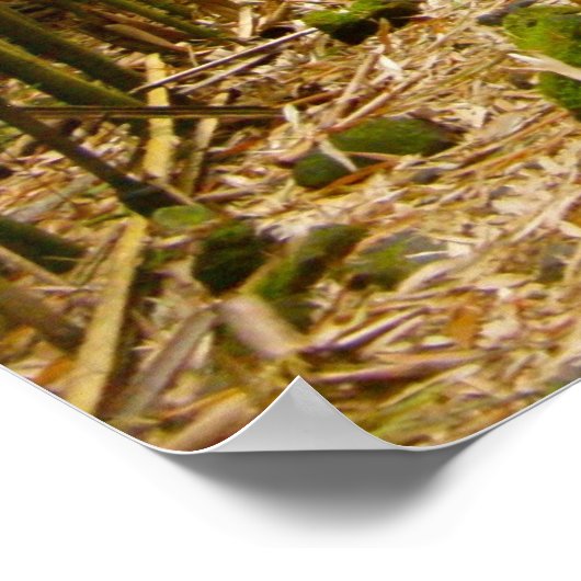 Het pad poster (Hoek)