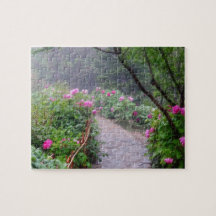 Het pad van de tuin van het Roos