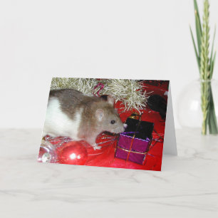 Het Pakket van de vink Feestdagen Kaart