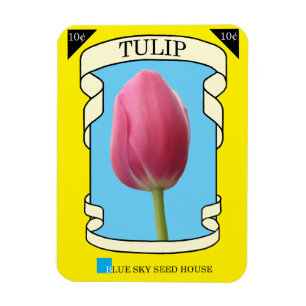 Het Pakket van het Zaad van de tulp Magneet