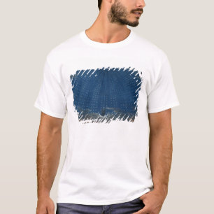 Het paleis van de koningin van de nacht t-shirt