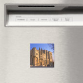 Het paleis van de paus in Avignon met mensen Magneet (Insitu (Vaatwasser))