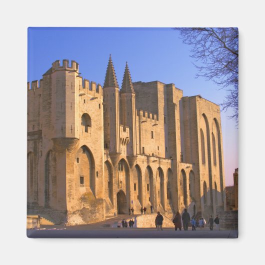 Het paleis van de paus in Avignon met mensen Magneet (Voorkant)