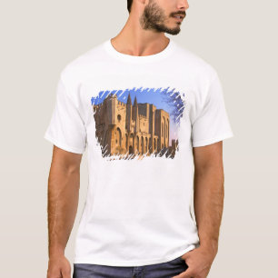 Het paleis van de paus in Avignon met mensen T-shirt